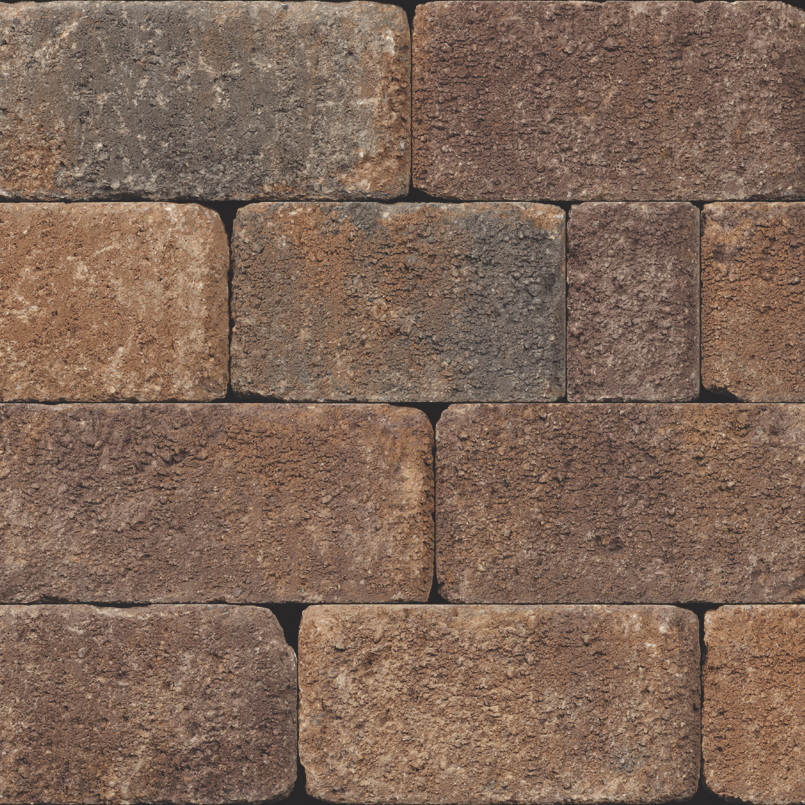 Castle Manor Cap 54ST 49.5P 6L Toscana - Wall